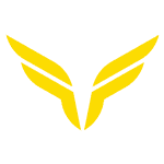 Fly Fitness