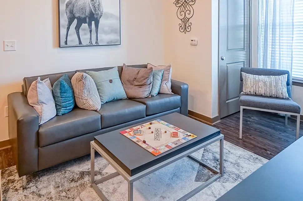 furnished living space